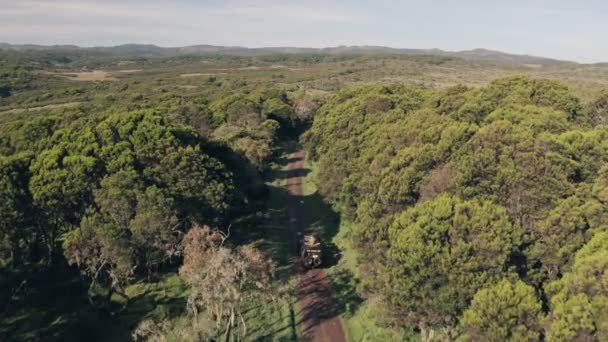 Wheel Drive Vehicle Driving Forest Scenery Aberdare National Park Kenya — 图库视频影像