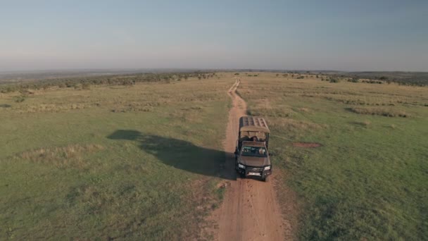 Wheel Drive Vehicle Wildlife Safari Kenya Aerial Drone View Safari — Vídeos de Stock