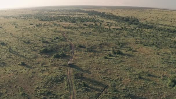 Driving Wildlife Safari Holiday Kenya Africa Aerial Drone View — Stock videók