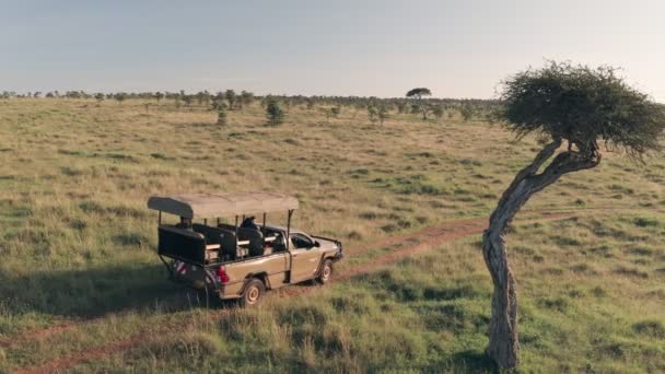 Aerial Drone View Wheel Drive Vehicle Wildlife Safari Kenya Africa — Video