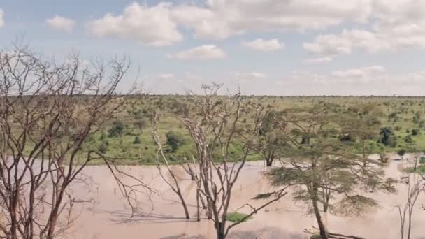 Waterhole Lake Laikipia Kenya Aerial Spinning Drone View Kenyan Landscape — Vídeo de Stock