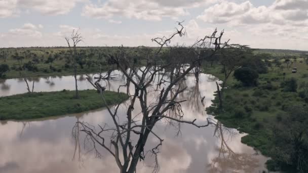 Waterhole Lake Laikipia Kenya Aerial Drone View Kenyan Landscape Scenery — Video