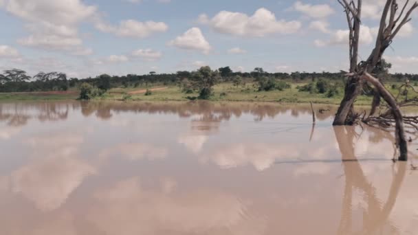 Waterhole Lake Laikipia Kenya Aerial Drone Moving Backwards Kenyan Landscape — Video