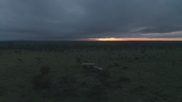 Wheel Drive Wildlife Safari Holiday Sunrise Laikipia Kenya Africa Aerial — Vídeos de Stock