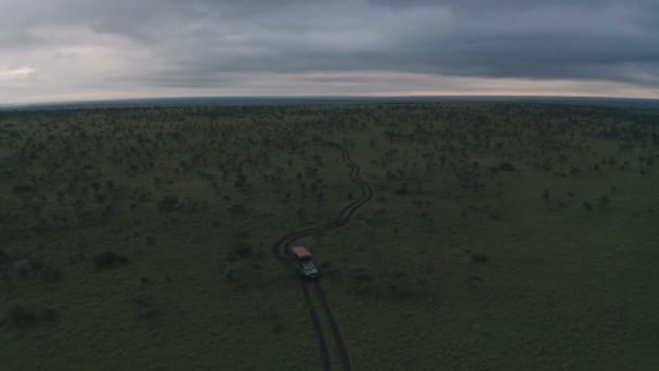 Safari Game Drive Dawn Laikipia Kenya Africa Aerial Drone View — Vídeo de Stock