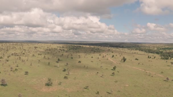 Aerial Drone View African Safari Game Reserve Landscape Laikipia Kenya — Video