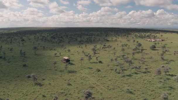 Wheel Drive Vehicle Wildlife Safari Driving Savanna Kenya Aerial Drone — Video