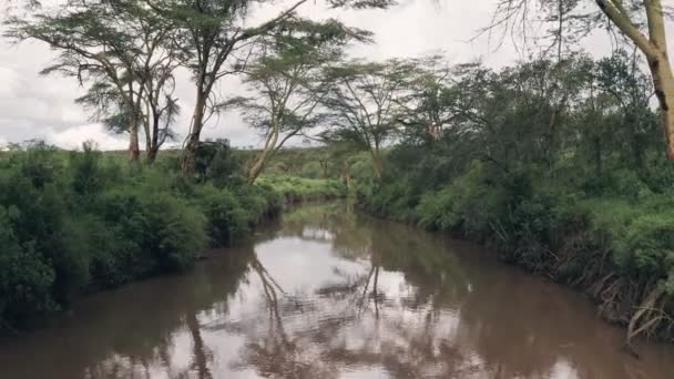Rriver African Landscape Laikipia Kenya Backwards Aerial Drone View — Αρχείο Βίντεο