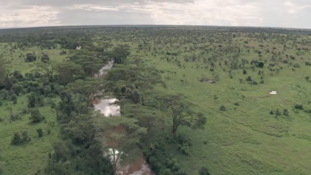 Aerial Drone View River African Landscape Scenery Laikipia Kenya — Stock video