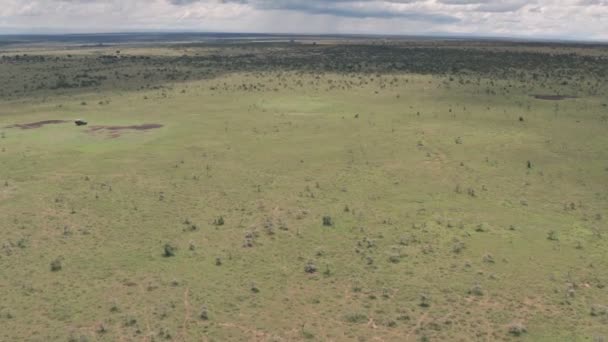 Safari Game Drive Laikipia Kenya High Aerial Drone Wheel Drive — 图库视频影像