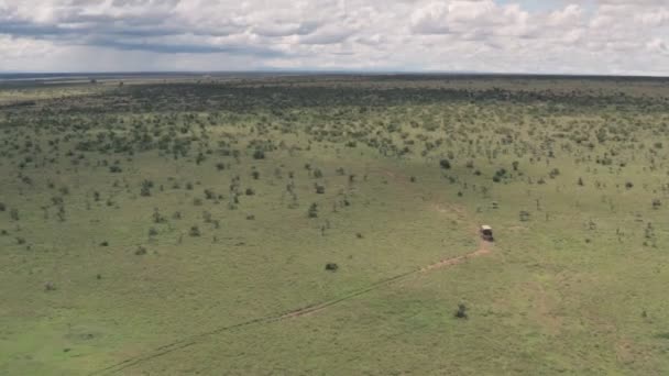 Wildlife Holiday Laikipia Kenya Aerial Drove View Wheel Drive Driving — 图库视频影像