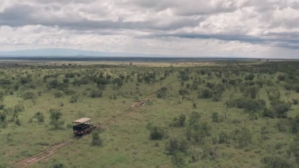 Safari Game Drive Laikipia Kenya Aerial Drone View Wheel Drive — Video Stock