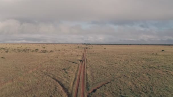 Driving Safari Savanna Plains Laikipia Kenya Aerial Drone View Landscape — Video Stock