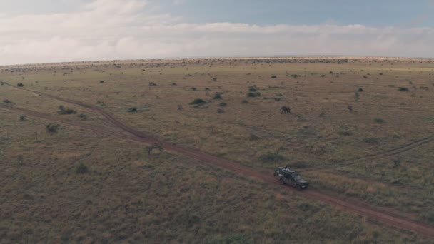 Elephant Sighting While Wildlife Safari Holiday Laikipia Kenya Aerial Drone — 图库视频影像