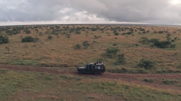 Woman Sitting Top Wheel Drive While Wildlife Safari Holiday Kenya — Stok video