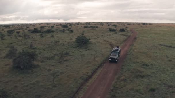 Woman Sitting Top Vehicle While Driving Wildlife Safari Holiday Adventure — Vídeos de Stock