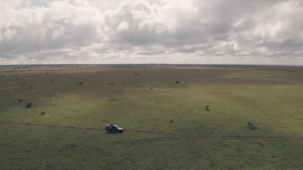 Человек Сидящий Вершине Полного Привода Время Сафари Дикую Природу Кении — стоковое видео