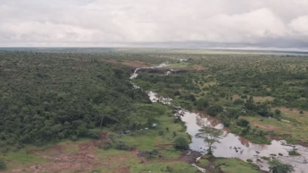 River Savanna Wildlife Conservation Reserve Laikipia Kenya Aerial Drone View — Stock video