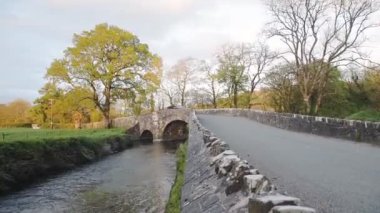 Car on a country road near trees and meadows in Pembrokeshire, Wales