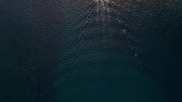 Deep Sea Fishing Boat Sunrise Indian Ocean Watamu Malindi Kenya — Video