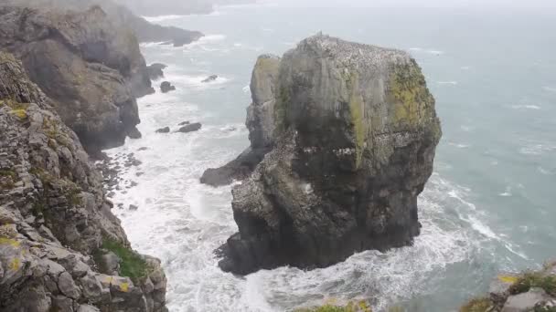 Waves Crashing Elegug Stacks Pembrokeshire Coast National Park Wales Moody — Stok video