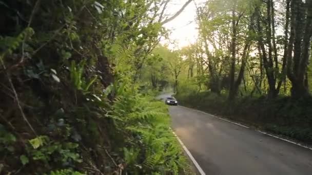 Car Speeding Country Road Surrounded Trees Pembrokeshire Wales Sunny Evening — Video