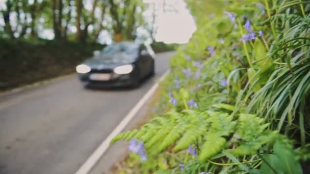 Car Speeding Country Road Surrounded Trees Pembrokeshire Wales Sunny Evening — Vídeo de stock