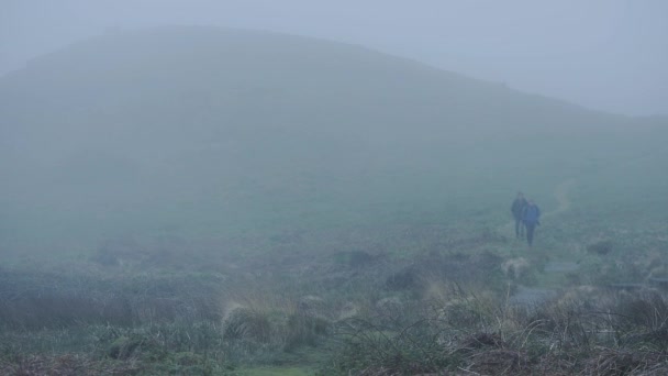 Two Men Walking Hiking Trail Skomer Island Pembrokeshire Coast National — Video