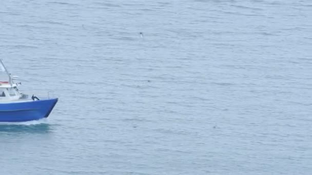 Boat Sailing Swiftly Big Blue Ocean Skomer Island Wales Wide — Vídeos de Stock