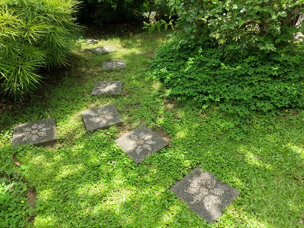 Green Garden Stone Steps Medicago Arabica Plants — Stock Photo, Image