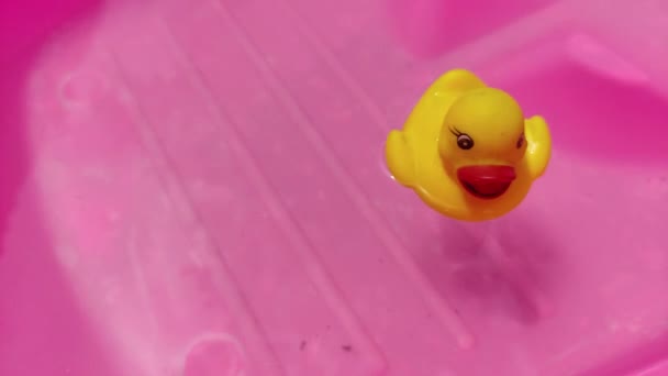 Giocattoli Anatra Gialla Nella Vasca Bagno Bambino Plastica Rosa — Video Stock