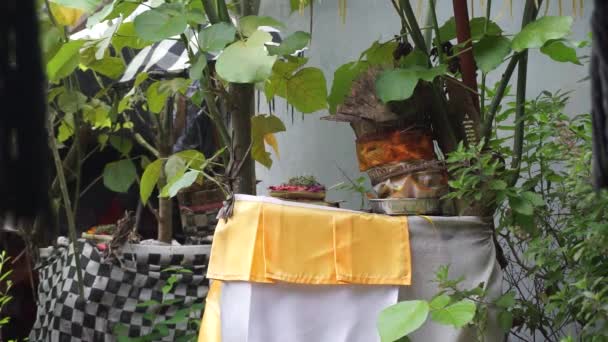Místo Modlitby Hinduisty Bali Obklopeno Zelenými Listy — Stock video