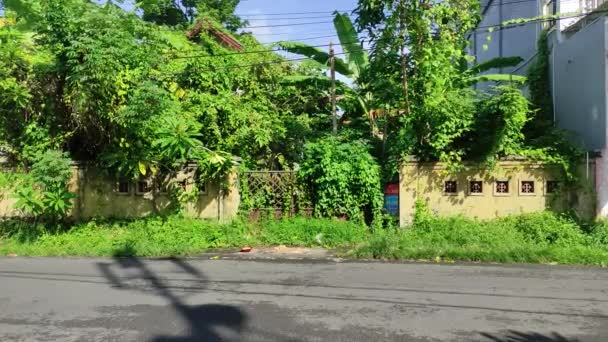 バリ島 インドネシア 2022年3月21日 4Kの包帯で覆われ 生い茂った家 雑草でいっぱいの玄関口 — ストック動画