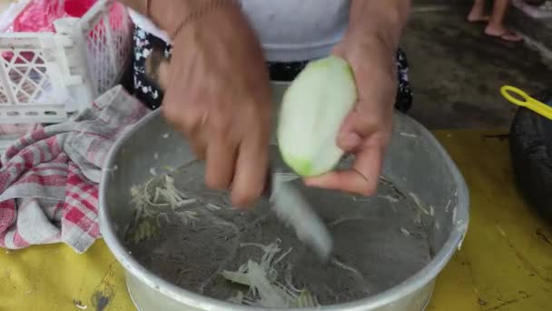 Indonesisch Voedsel Rujak Handelaren Snijden Fruit Rujak Een Typisch Indonesisch — Stockvideo
