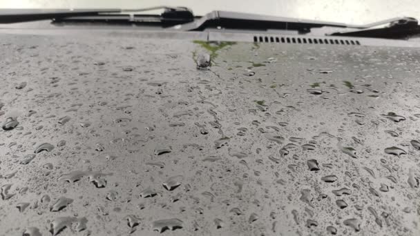 Cerca Toma Frontal Lluvia Una Capucha Coche Negro — Vídeos de Stock