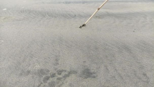 Person Zeichnet Sandstrand Herz Erholung Und Naturkonzept Zeichnung Mit Holzstab — Stockvideo