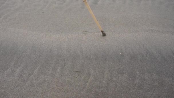 Kumlu Kumsalda Harfi Çizen Kişi Eğlence Doğa Kavramı Tahta Çubukla — Stok video