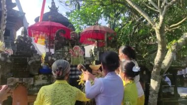 Bali, Indonesia - June 28, 2022: Balinese Hindus make offerings during the Piodalan ceremony. It is a form of gratitude to God Almighty.