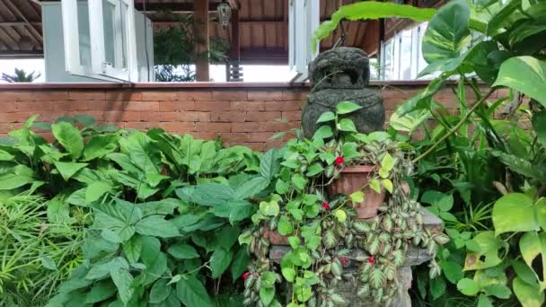 Green Garden Adorns Villa Badung Bali — Vídeos de Stock