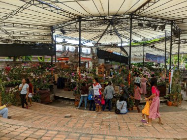 Bali, Indonesia - July 10, 2022: Many beautiful colorful orchids in garden center
