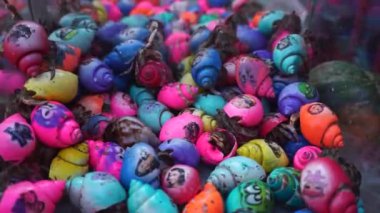 Bali, Indonesia - July 10, 2022: Hermit crab in a colorful form for sale. Painted to attract children's attention