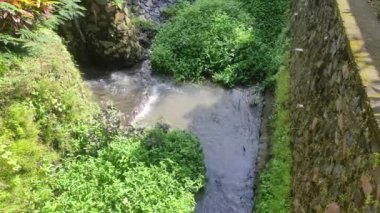 Clean water flows at the edge of a rural ditch. Beautiful green nature.