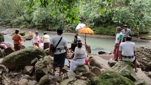 인도네시아 2022 인도네시아 발리에서 농가겐 Nganyut 작업을 가까운 강으로 운반되어 — 비디오