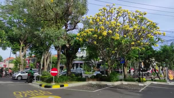 Бали Индонезия Августа 2022 Года Парковки Движение Четырем Полосам Цветы — стоковое видео
