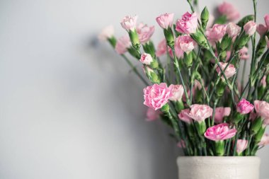 Açık gri arkaplanda vazodaki açık pembe karanfil çiçekleri fotokopi alanı ile