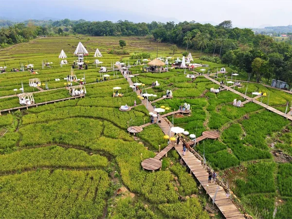 Vacker Utsikt Över Luften Berg Och Floder Tropiska Skogarna Indonesien — Stockfoto