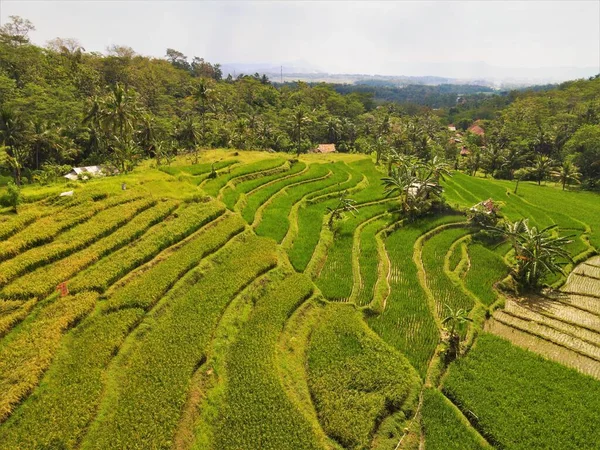 Vacker Utsikt Över Luften Berg Och Floder Tropiska Skogarna Indonesien — Stockfoto