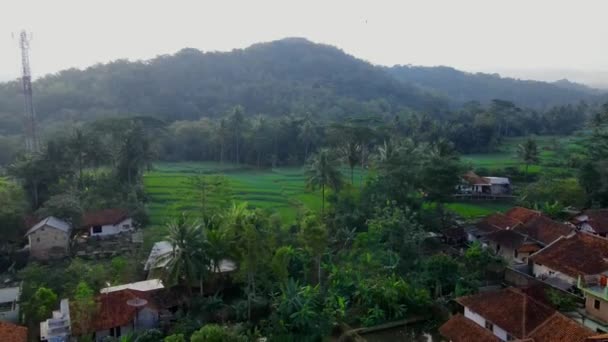 Piękny Widok Lotu Ptaka Góry Rzeki Tropikalnych Lasach Indonezji — Wideo stockowe