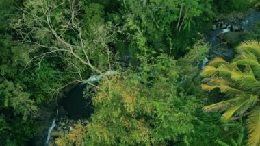 Güzel hava manzarası, tropikal ormanda küçük bir nehir, Batı Java - Endonezya.