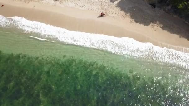 Gyönyörű Kilátás Levegőre Beach Hullámok Felülről Pangandaran Beach Nyugat Jáva — Stock videók